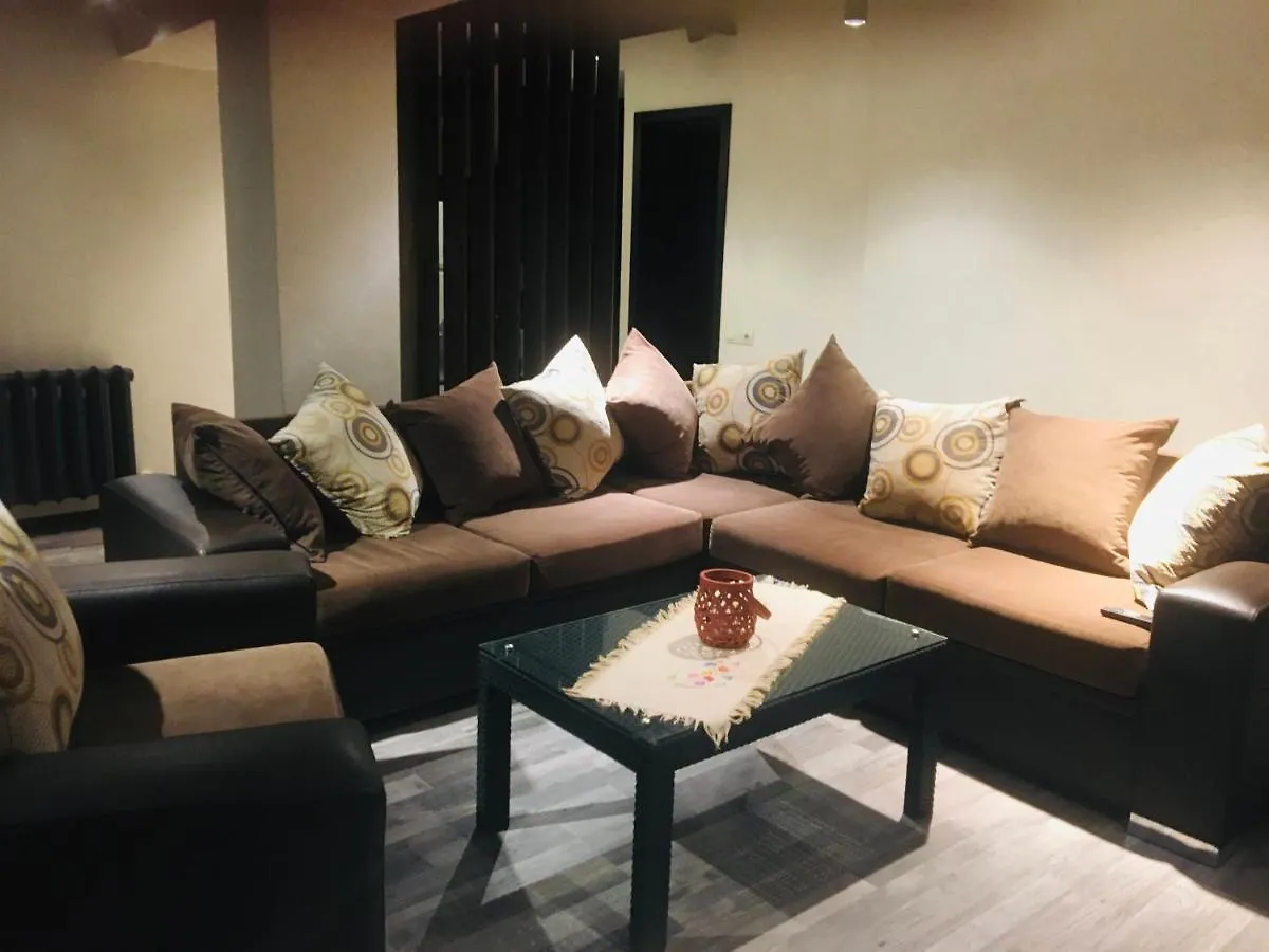 Peto'S Huge Furnished Terrace Apartment Tbilisi