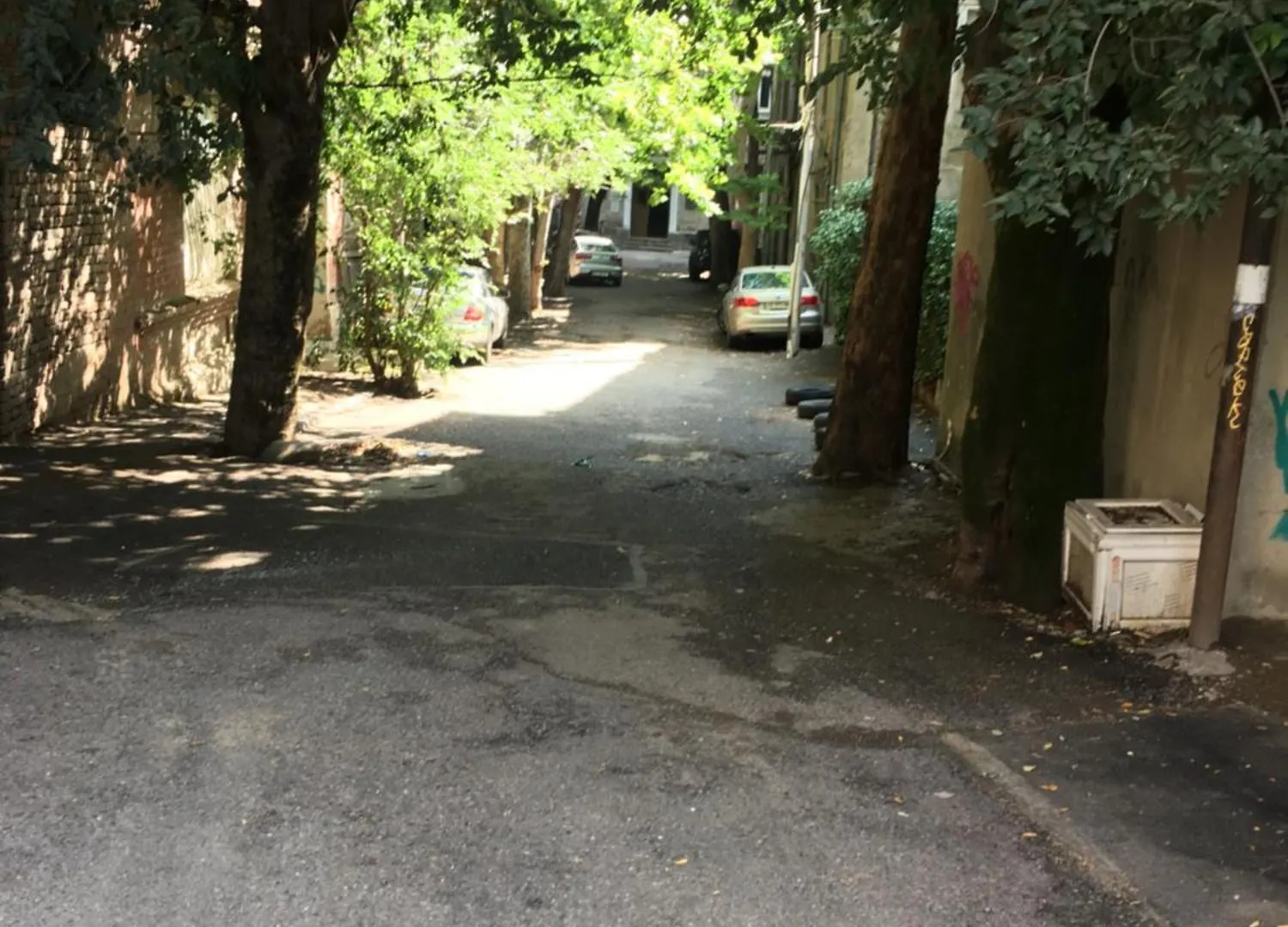 Peto'S Huge Furnished Terrace Apartment Tbilisi
