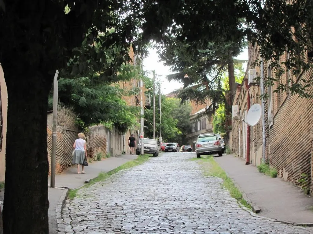 Peto'S Huge Furnished Terrace Apartment Tbilisi
