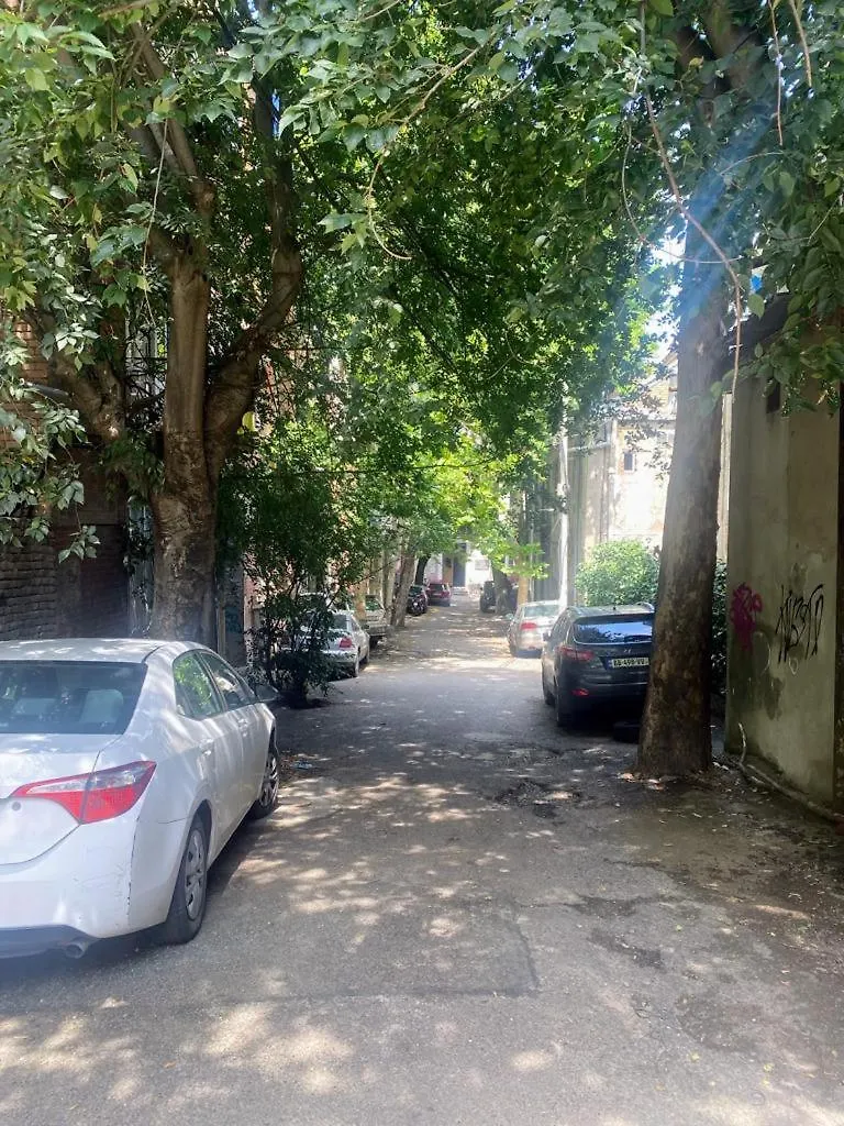 Peto'S Huge Furnished Terrace Apartment Tbilisi